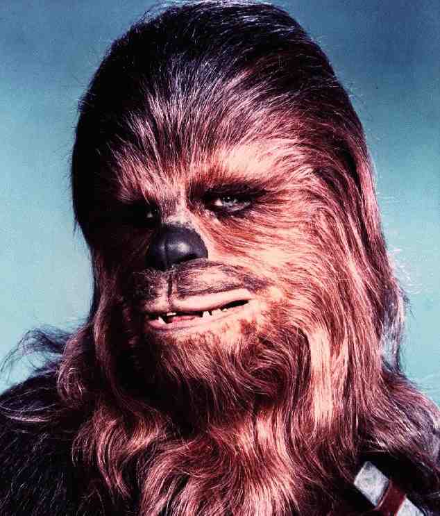 Chewie Studio Portrait